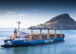 Pacific Basin,bulker, 